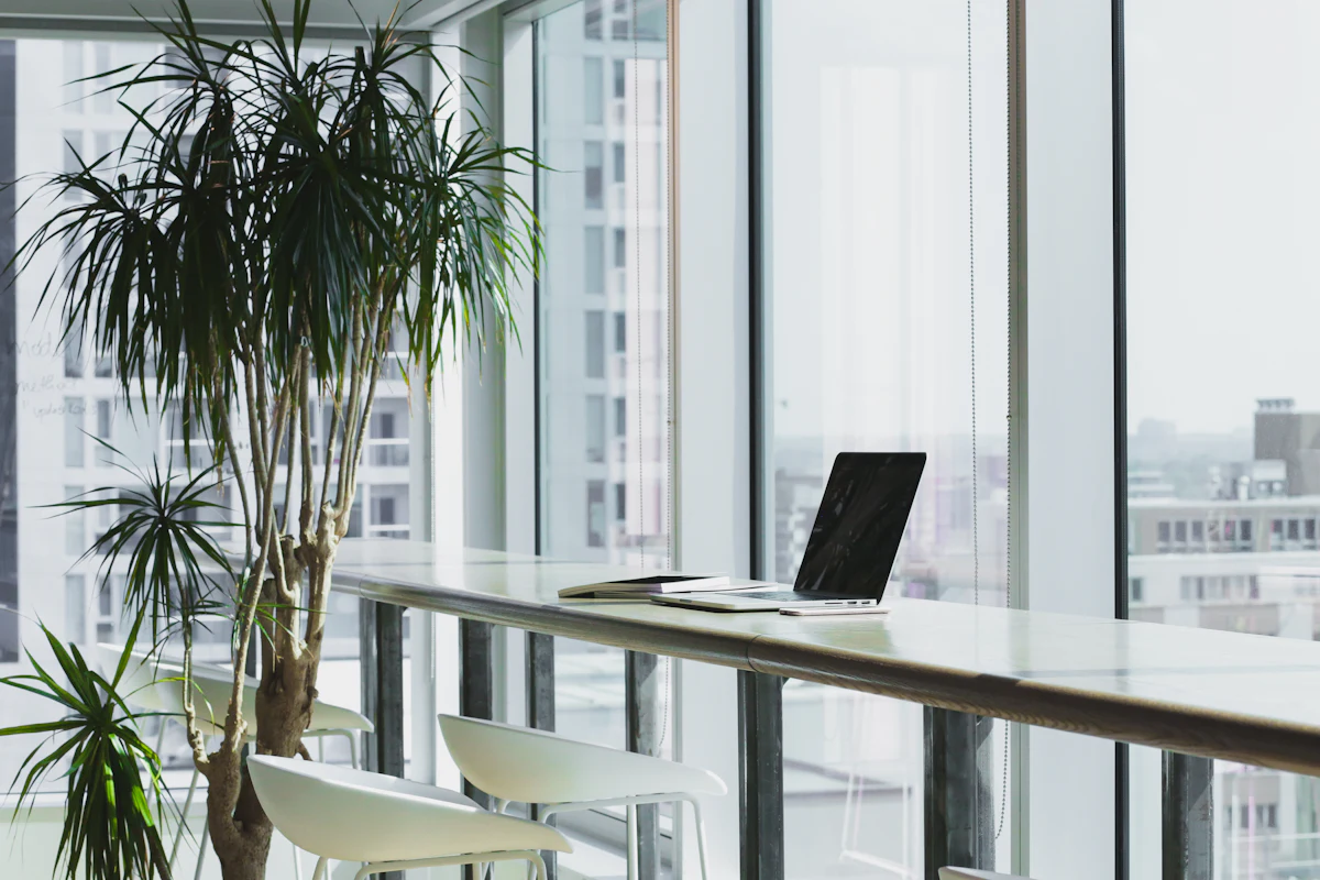 A laptop on a long desk by tall windows and potted palms
